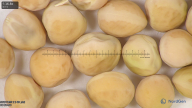 column seed