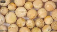 column seed