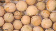 column seed