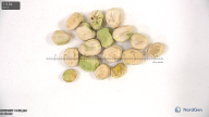 seed