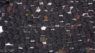 seed