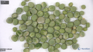 column seed