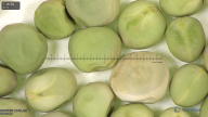 column seed