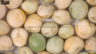 column seed