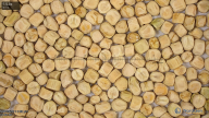 seed