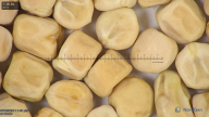 column seed