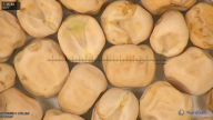 column seed