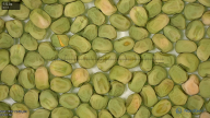 column seed