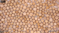 column seed
