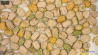 column seed