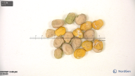 column seed