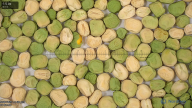 column seed
