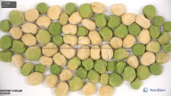 column seed