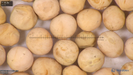 column seed