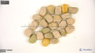 column seed