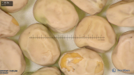column seed