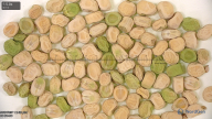 column seed
