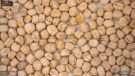 seed