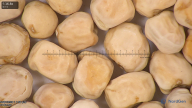column seed
