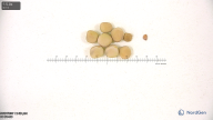 column seed