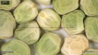 column seed