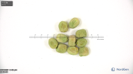 column seed