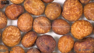 column seed