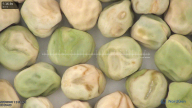 column seed