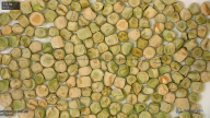 seed