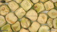 column seed