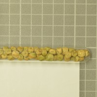 column  