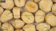 column seed