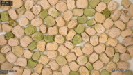 column seed
