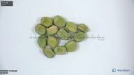 Click for 6 image(s) for this accession. seed