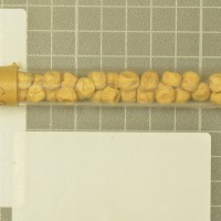 column  