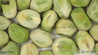 column seed