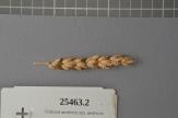 column Spike