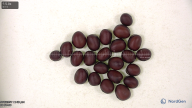Click for 5 image(s) for this accession. seed