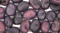 column seed