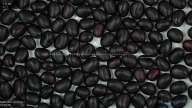 Click for 2 image(s) for this accession. seed